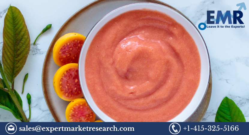 Read more about the article Global Guava Puree Market to be Driven by Rising Demand from Food and Beverage Industry in the Forecast Period of 2023-2028