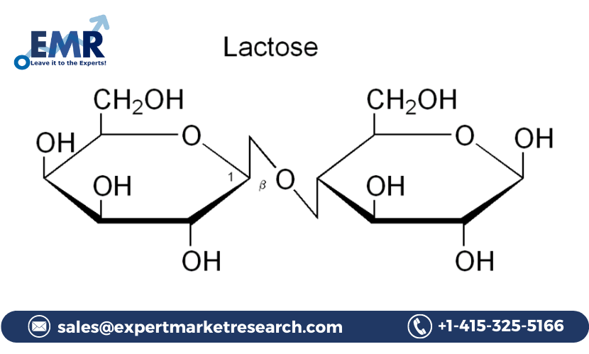 Read more about the article Global Lactose Market to be Driven by Thriving Dairy Industry and Growing Pharmaceutical industry Across the Globe in the Forecast Period of 2024-2032