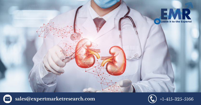 Read more about the article Global Acute Kidney Injury Treatment Market to be Driven by the Increasing Cases of Acute Kidney Injury in the Forecast Period of 2023-2028