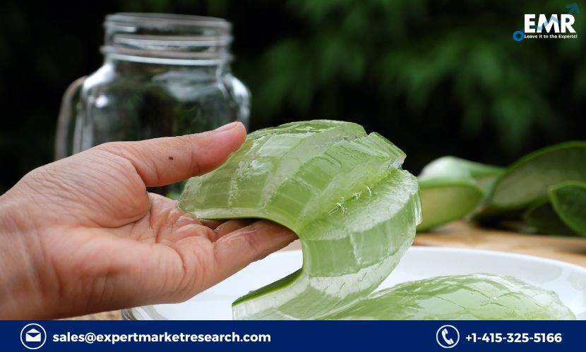 Read more about the article Global Aloe Vera Gel Market to be Driven by Increasing Medicinal Importance and Cosmetic Applications during the Forecast Period of 2023-2028