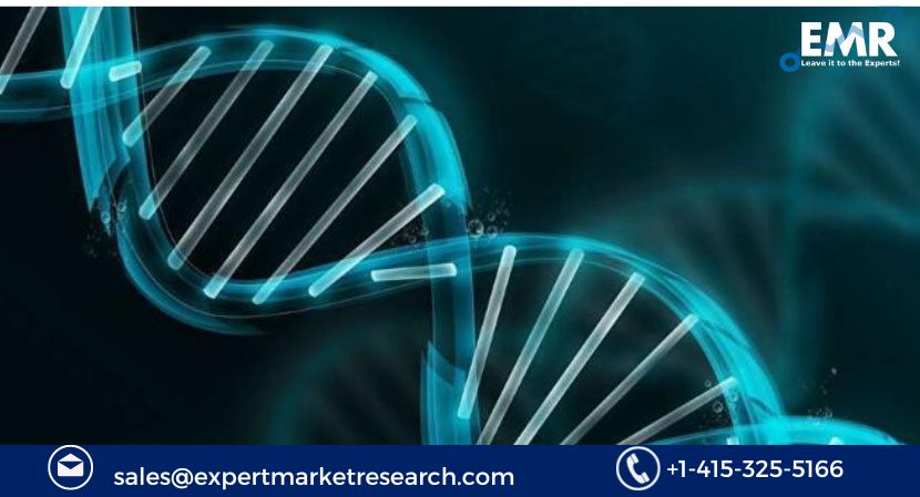 Read more about the article Global Antisense and RNAi Therapeutics Market to be Driven by Companies that are developing Molecules based on Antisense Technology in the Forecast Period of 2024-2032