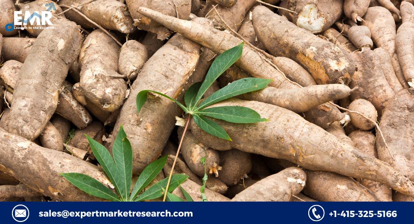 Read more about the article Asia Pacific Cassava Processing Market to be driven by the global market growth in the Forecast Period of 2023-2028