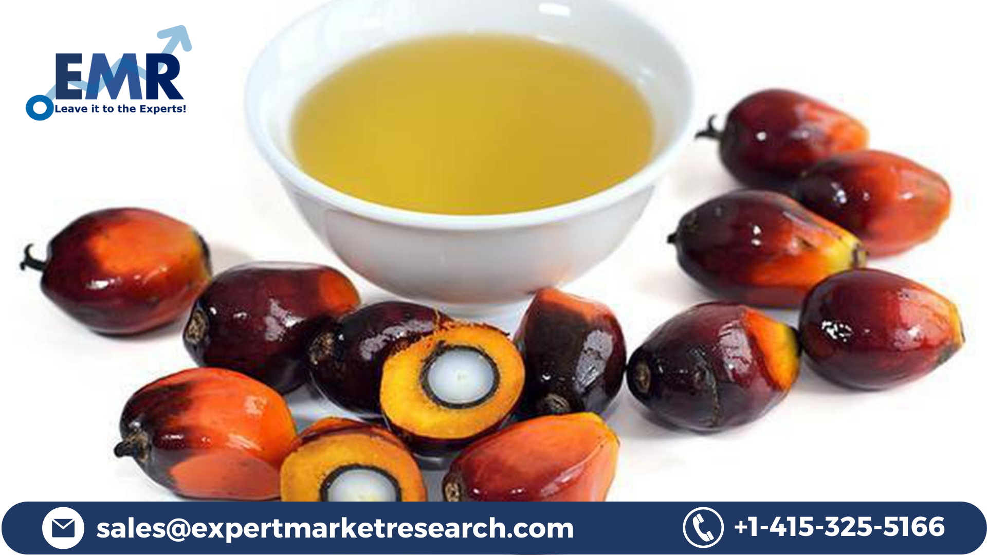 Read more about the article Brazil Palm Oil Market to be driven by increased demand from end-use applications in the Forecast Period of 2023-2028