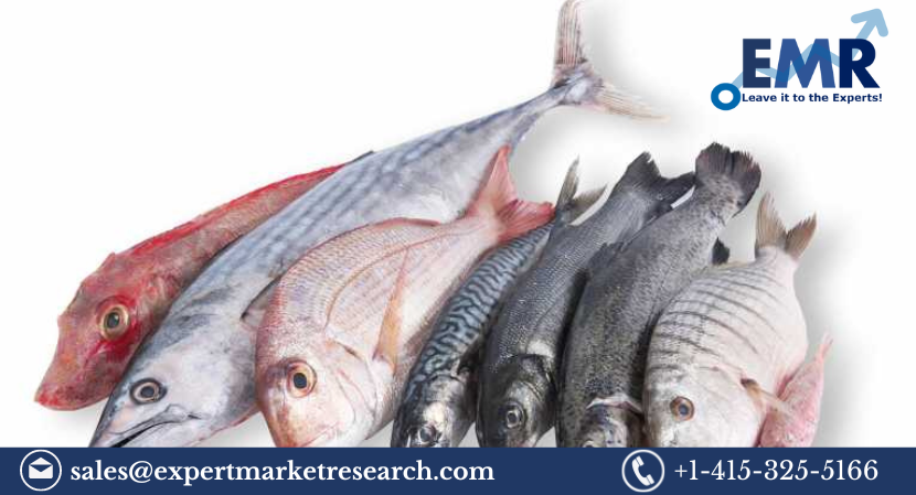 Read more about the article Europe Fish Market to be Driven by the Growth in the Popularity of Seafood in the Forecast Period of 2023-2028