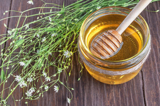 You are currently viewing Global Organic Wild Honey Market to be Driven by Increasing Health Concerns and Rising Demand in the Food And Beverage Industry in the Forecast Period of 2024-2032