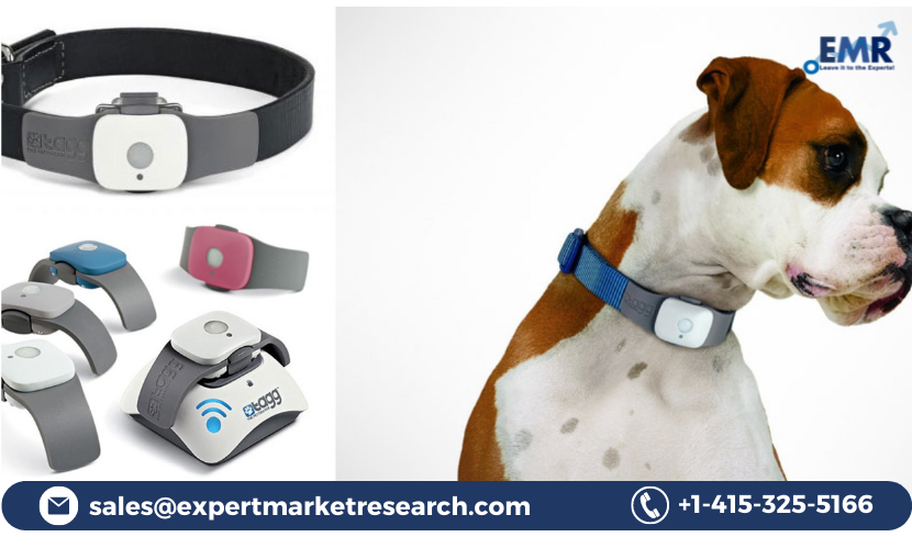 Read more about the article Global Pet Wearable Market is expected to grow at CAGR of 14% in the Forecast Period of 2023-2028