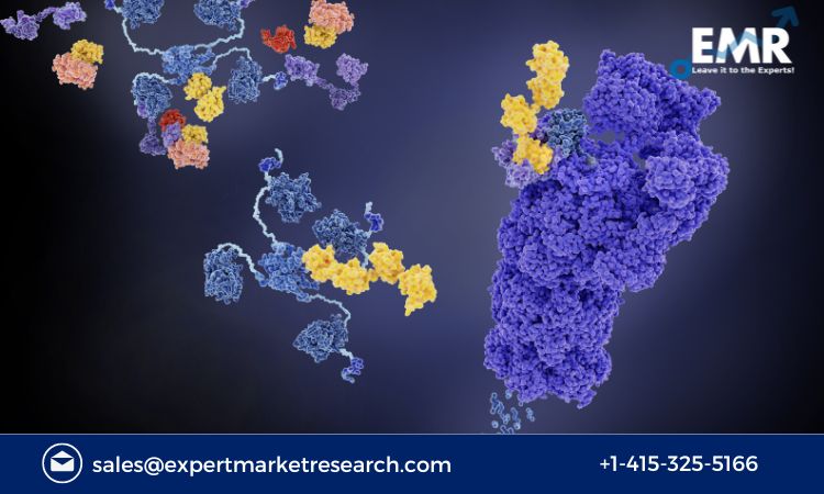 Read more about the article Global Proteasome Inhibitors Market to be Driven by the Rapid Technological Advancements in the Forecast Period of 2023-2028