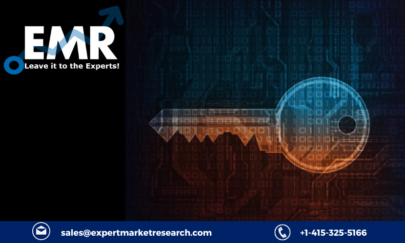 Read more about the article Global Public Key Infrastructure Market to be Driven by Technological Innovations in the Forecast Period of 2023-2028