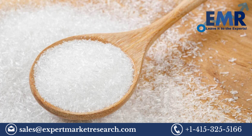 Read more about the article Global Sodium Glutamate Market to be Driven by the growing demand for processed food, aided by the growing food service industry in the Forecast Period of 2023-2028