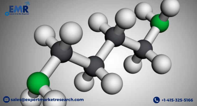 Read more about the article Global Amines Market Report to be Driven by Rising Demand from Agrochemical Sector in the Forecast Period of 2024-2032