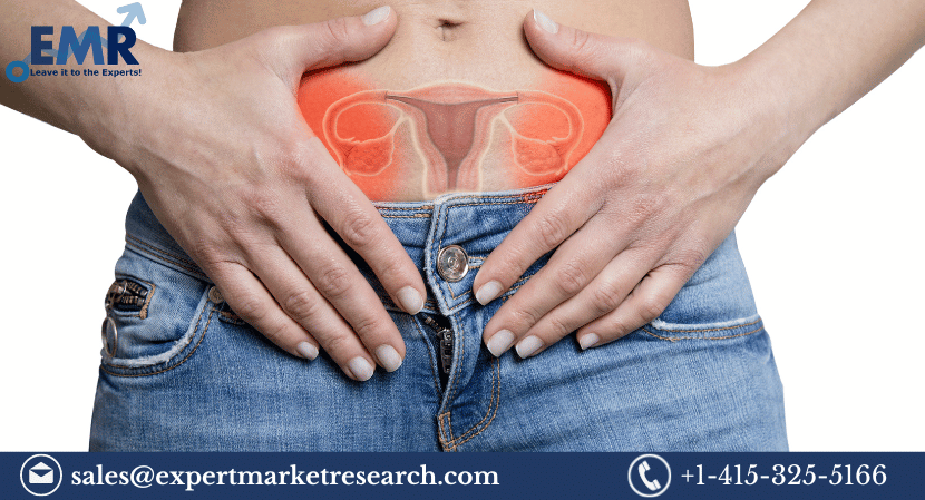 Read more about the article Global Ovarian Cancer Diagnostics and Therapeutics Market to be Driven by Growing Geriatric Population in the Forecast Period of 2023-2028