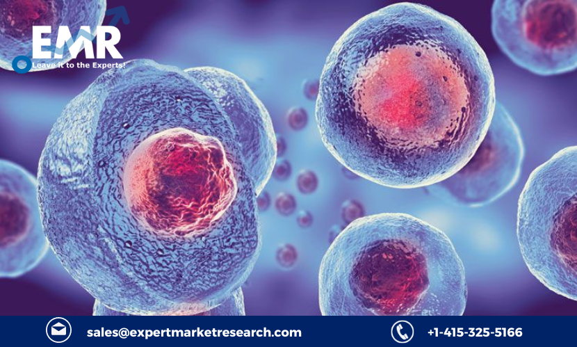 Read more about the article Cell Therapy Market to be Driven by Rapidly Growing Research and Development (R&D) Efforts and Advantageous Government Initiatives During the Forecast Period of 2023-2031