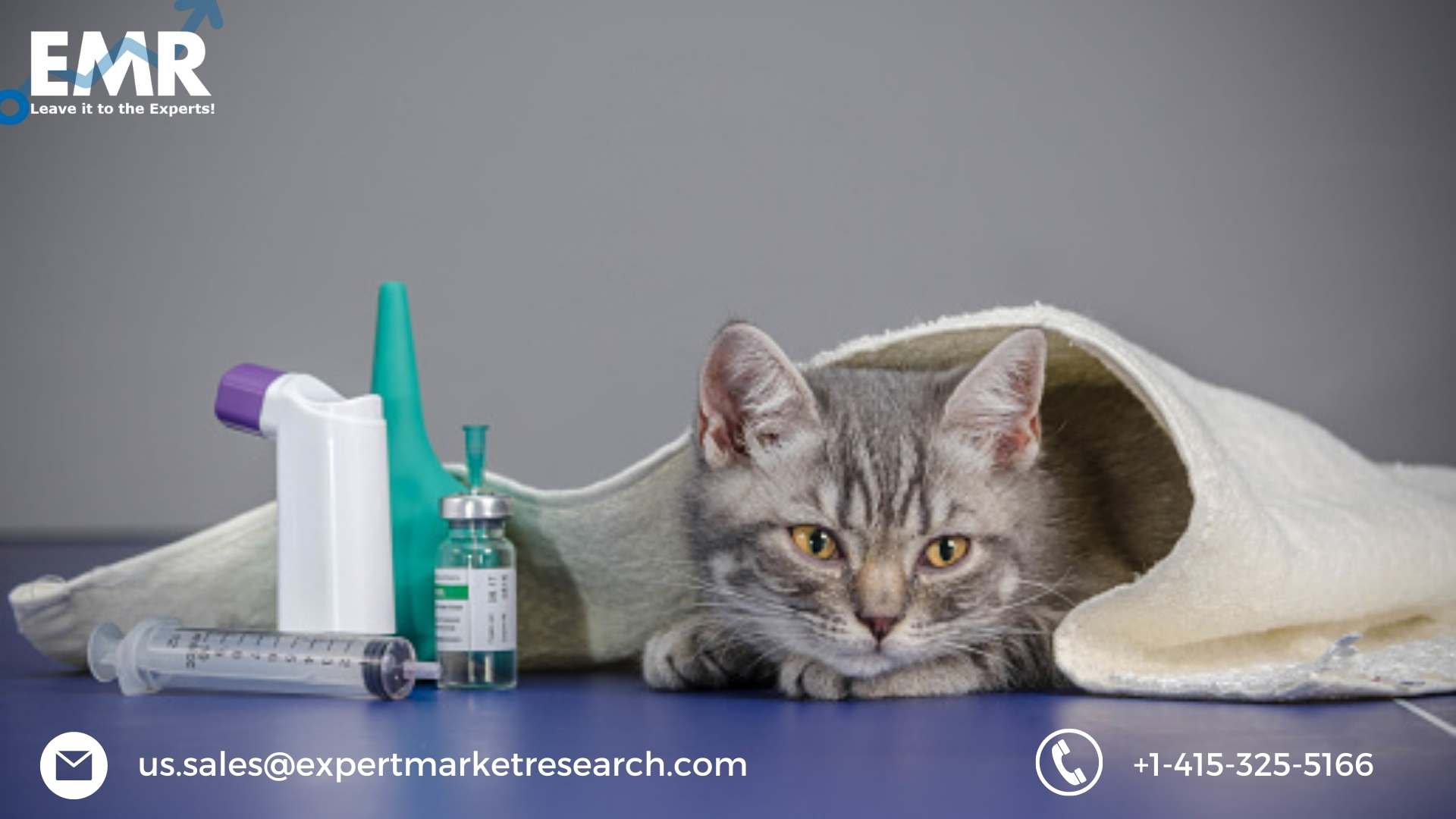 Read more about the article India Veterinary Drugs Market to be Driven by the Rising Animal Ownership in the Forecast Period of 2023-2028