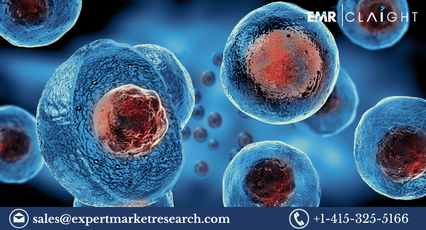 Read more about the article Global Stem Cell Market to be Driven by Increasing Activities to Use Stem Cells in Regenerative Medicines in the Forecast Period of 2023-2031