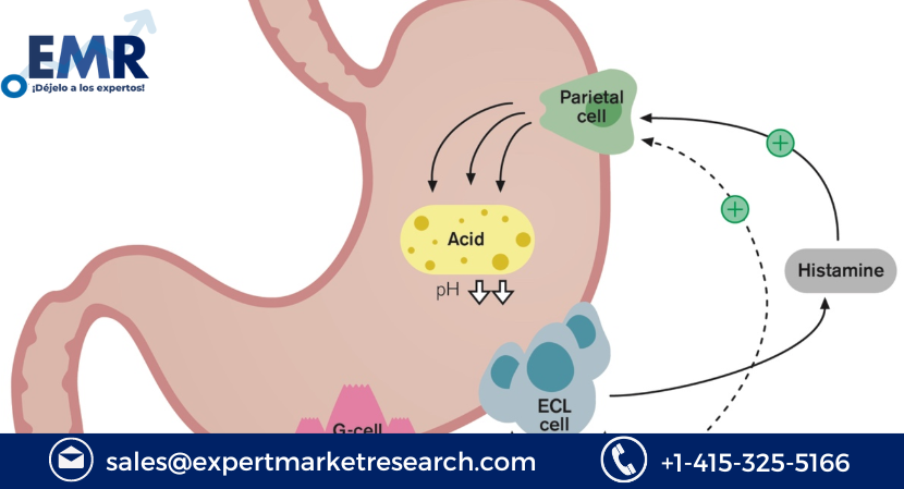 Read more about the article Global Proton Pump Inhibitors Market to be Driven by Rise in the Prevalence of Gastrointestinal Disorders in the Forecast Period of 2023-2028