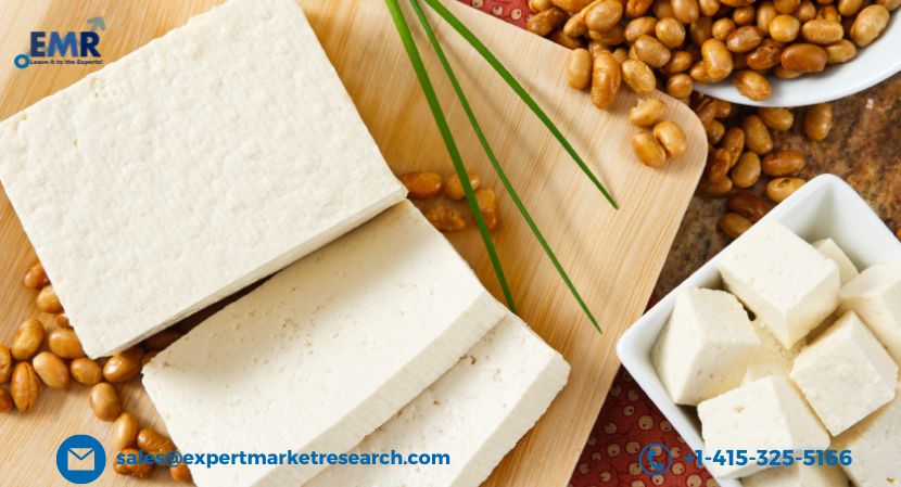 Read more about the article Global Protein Alternatives Market to be Driven by The Rising Health Consciousness Among Consumers in the Forecast Period of 2024-2032