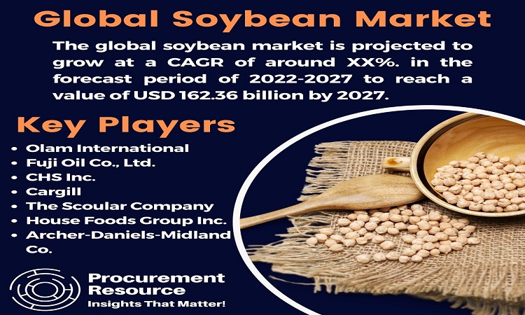 Read more about the article Global Soybean Industry Report: Analysis and Forecast 2022-2027