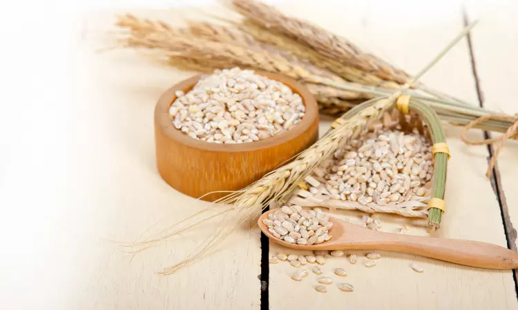 Read more about the article Global Barley Industry Report: Analysis and Forecast 2022-2027