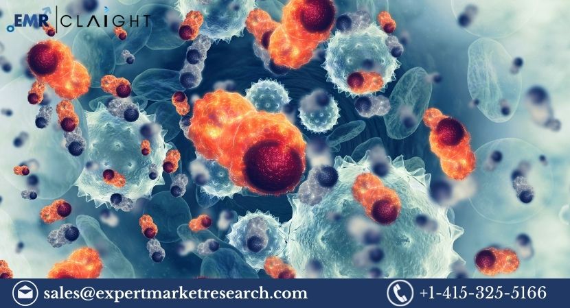 Read more about the article Global Cancer Cachexia Market to be Driven by the Rising Number of Cachexia Cases in the Forecast Period of 2024-2032