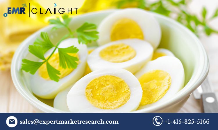 Read more about the article Germany Solid Egg Substitutes Market to be Driven by Increased Demand for Starch-based Solid Egg Substitutes in the Forecast Period of 2024-2032