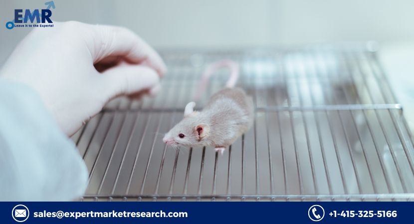 Read more about the article Global Humanised Mouse and Rat Model Market to be Driven by Rising Demand for Personalised Medicine in the Forecast Period of 2024-2032