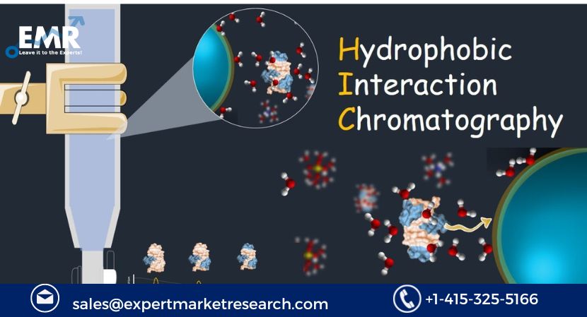 Read more about the article Global Hydrophobic Interaction Chromatography Market to be Driven by the Rapidly Increasing Capital Expenditure in the Pharmaceutical Sector in the Forecast Period of 2024-2032