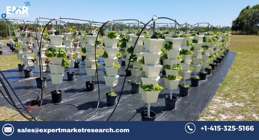 Read more about the article Global Hydroponics Market to be Driven by the Rapidly Increasing Global Population in the Forecast Period of 2024-2032