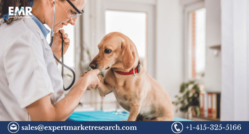 Read more about the article Global Canine Arthritis Treatment Market to be Driven by the Growing Prevalence of Osteoarthritis in Dogs in the Forecast Period of 2022-2027