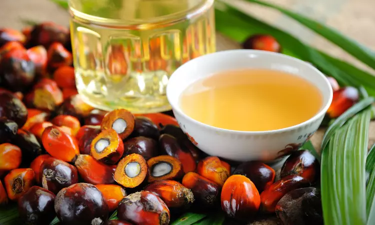 Read more about the article Palm oil Industry Report: Analysis and Forecast 2022-2027