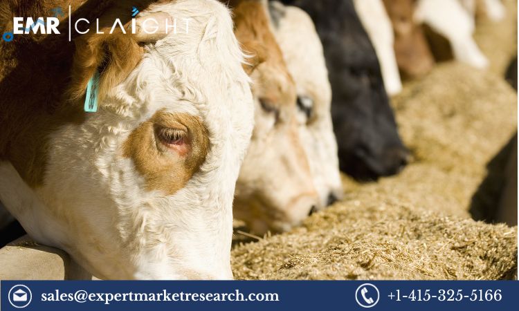 Read more about the article Global Probiotics in Animal Feed Market to be Driven by the Growing Need to boost the Health and Productivity of Farm Animals in the Forecast Period of 2024-2032