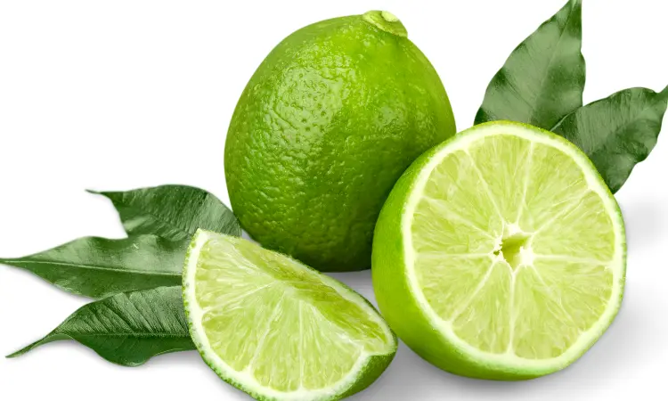 Read more about the article Global Lime Industry Report: Analysis and Forecast 2022-2027