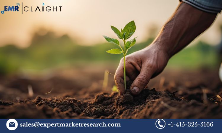 Read more about the article Global Agricultural Micronutrients Market to be Driven by the Increased Micronutrient Deficiency in Soil in the Forecast Period of 2023-2028