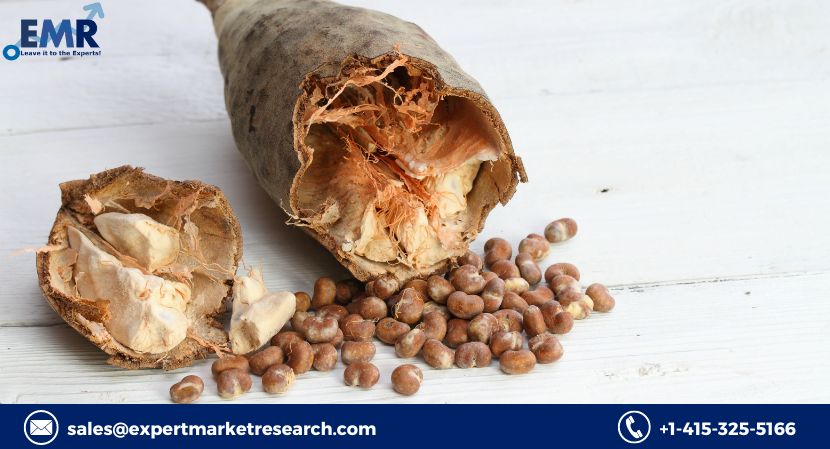 Read more about the article Global Baobab Ingredient Market to be Driven by the Increasing Applications in Various End-Use Industries in the Forecast Period of 2024-2032