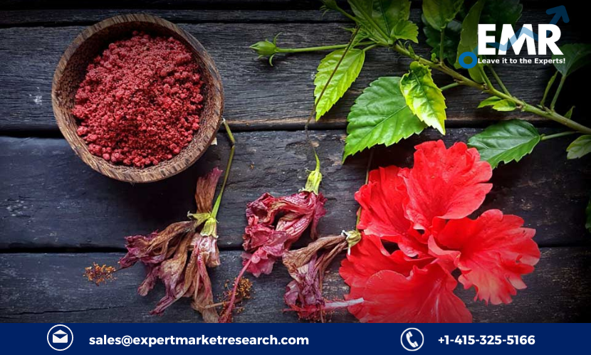 Read more about the article Global Hibiscus Extract Market to be Driven by the Thriving Pharmaceutical Sector in the Forecast Period of 2023-2028