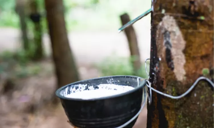 Read more about the article Global Natural Rubber Industry Report: Analysis and Forecast 2022-2027