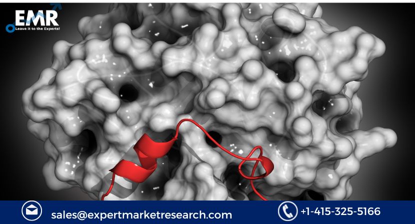 Read more about the article Global Thrombin Market to be Driven by the Growing Research and Development Activities in the Forecast Period of 2024-2032