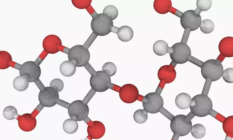 Read more about the article Procurement Resource Analyses the Production Cost of Maltose in its New Report