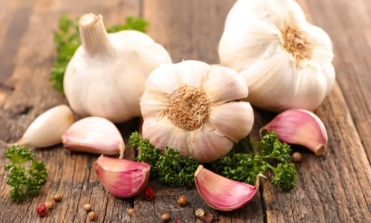 Read more about the article Procurement Resource Analyses the Production Cost of Garlic Oleoresins in its New Report