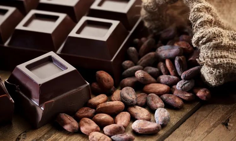 Read more about the article Procurement Resource Analyses the Production Cost of Dark Chocolate in its New Report