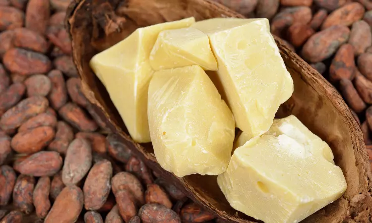 Read more about the article Procurement Resource Analyses the Production Cost of Cocoa Butter in its New Report