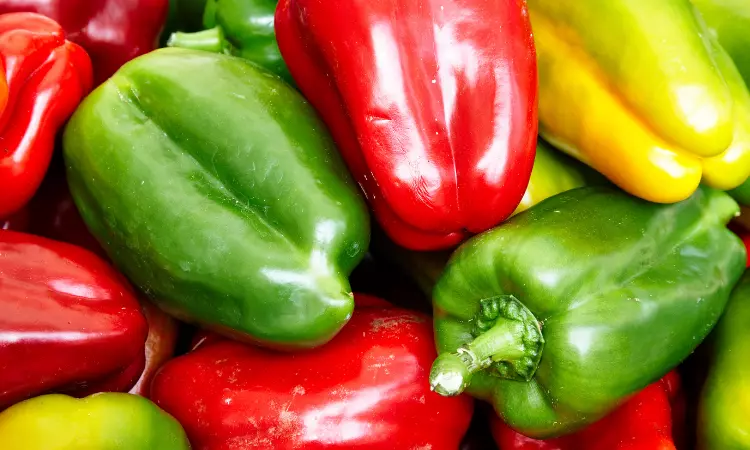 You are currently viewing Procurement Resource Analyses the Production Cost of Red Pepper Oleoresin in its New Report