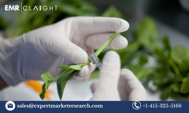 Read more about the article Global Agricultural Inoculants Market to be Driven by the Increased Demand for Food in the Forecast Period of 2024-2032