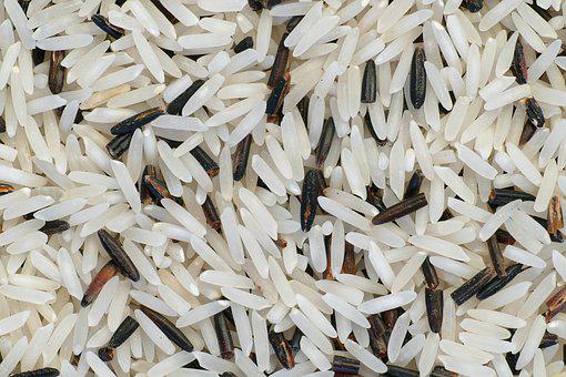 Read more about the article Global Basmati Rice Market to be Driven by the Thriving Food and Beverage Industry in the Forecast Period of 2024-2032