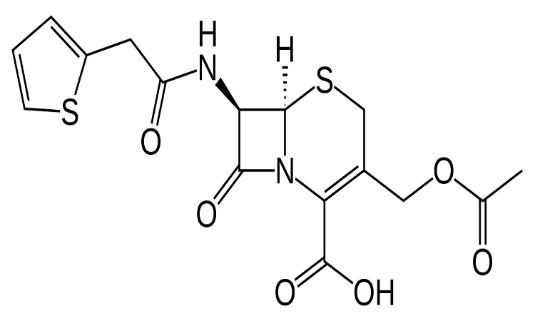 Read more about the article Procurement Resource Analyses the Production Cost of Cefalotin in its New Report