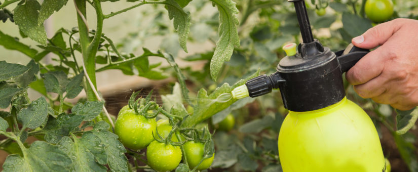 Read more about the article Global Foliar Spray Market to be Driven by Nitrogenous Segment Based on Chemical in the Forecast Period of 2022-2027