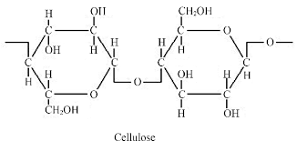 Read more about the article Global Cellulose Market to be Driven by the Rising Applications Across Various Sectors in the Forecast Period of 2022-2027 