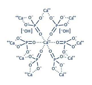 Read more about the article Global Hydroxyapatite Market to be Driven by Increasing Demand in Orthpaedic Applications  During the Forecast Period of 2023-2028