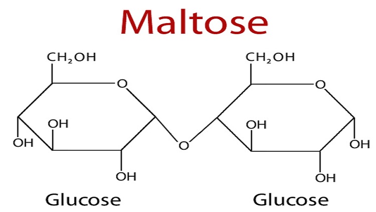 Read more about the article Global Maltose Industry Report: Analysis and Forecast 2022-2027