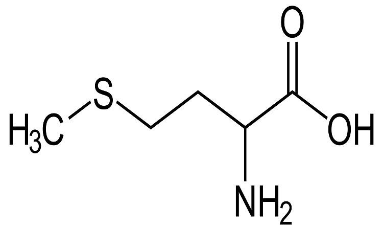 Read more about the article Procurement Resource Analyses the Production Cost of Methionine in its New Report