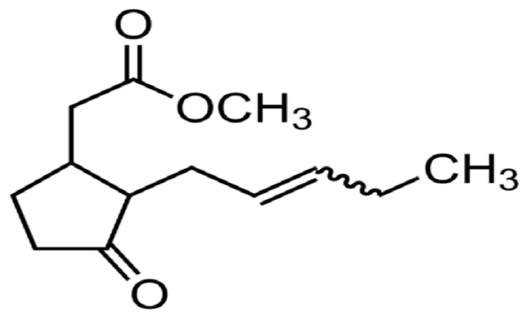 Read more about the article Procurement Resource Evaluates the Price Trends of Methyl Dihydrojasmonate in its Latest Insights and Dashboard